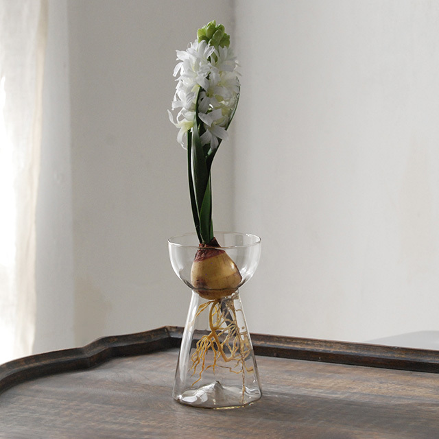 球根水栽培 ガラス K01 SMOKE / Bollenglass Design