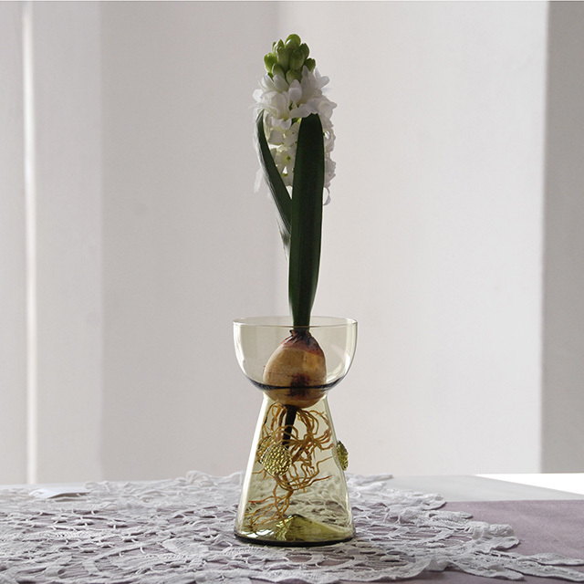 球根水栽培 ガラス K02 GREEN / Bollenglass Design