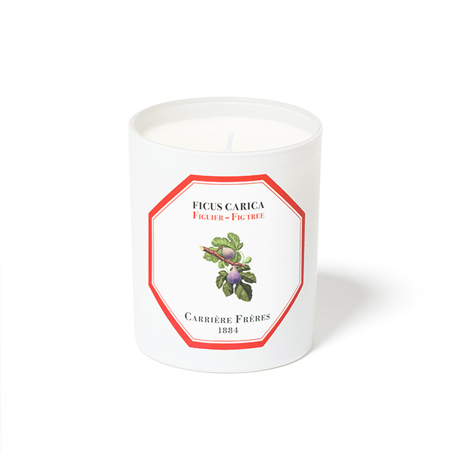 フレグランスキャンドル 185g フィグツリー / Carriere Freres