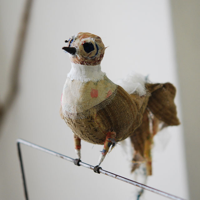 バードＧＭ（ウッドベース付） / VOX POPULI