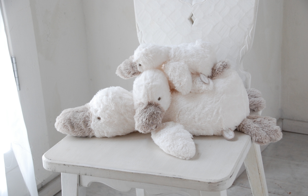 Dimpel ディンペル